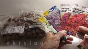 сажаю ПЕТУНЬИ в Подмосковье 🌺 новые сорта.