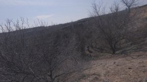 DJI_20260322132110_0077_D