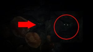 Страшные видео! Маленькие страшные звери ночью выходят