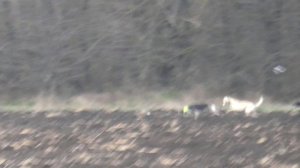 Сборник поимок ✓2 . Сезон (2025-2026)г.