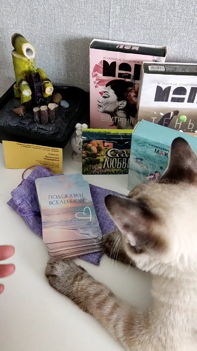 🔮ПОДСКАЗКА ОТ ВСЕЛЕННОЙ НА СЕГОДНЯ 💛Подпишись😸#вселенная #подсказка #shorts #маккарты #таро #жиза