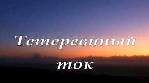 ТЕТЕРЕВИНЫЙ ТОК. (Rem_HD)