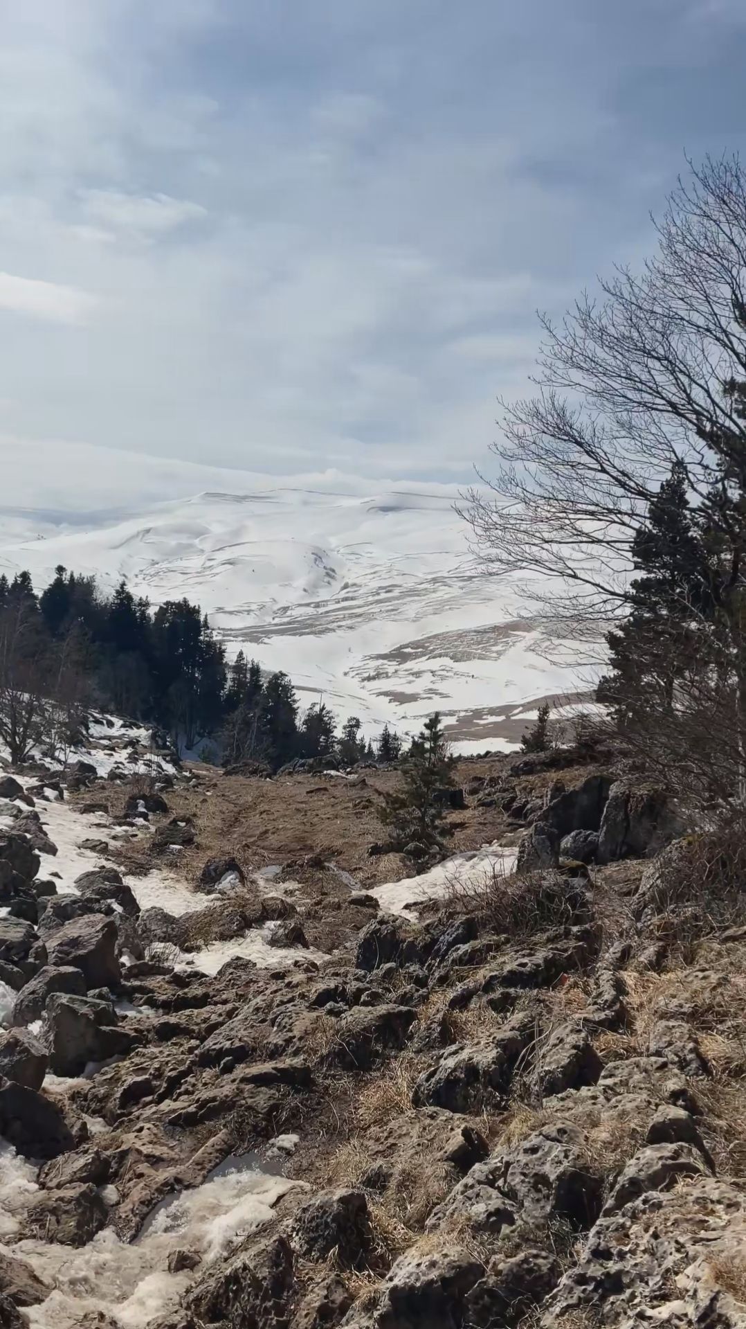 Лаго-Наки Адыгея. мартовская поездка