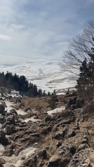 Лаго-Наки Адыгея. мартовская поездка