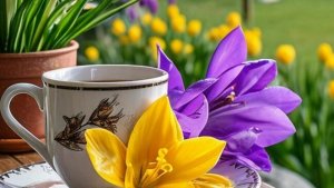 НЕ УДЕРЖАЛАСЬ, СОРВАЛАСЬ🙈 КАК ОН И ЧТО С НИМ ДЕЛАТЬ 🤔