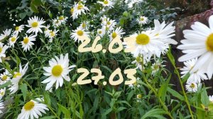 Лунный календарь Комнатного цветовода с23.03-29.03.26г.