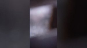 часть третья в джунглях выживание.