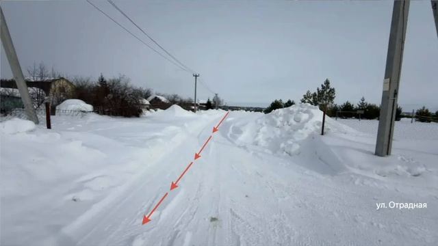 Цветочная тарлаши