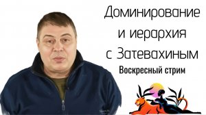 Воскресный стрим. Затевахин про доминирование