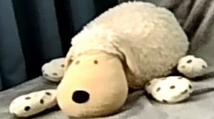 КАК Я СНИМАЮ ВИДЕО О ТОМ ВИДЕО С 24 ГОДА...