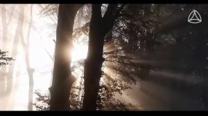 Спокойная расслабляющая музыка для отдыха и сна.