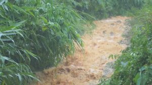 Она столкнулась с наводнением, когда доставляла людям гуманитарную помощь, продукты питания.