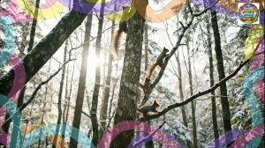 Спасение замерзающего утенка кошачьей семьей в ненастную ночь ❄️❤️