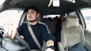 Перевозка собаки породой ДОБЕРМАНА 😅 В первый раз перевожу такую собаку , такого рода ☺️