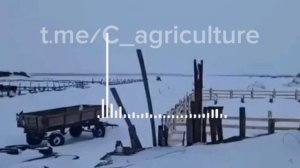 ❗️ЧЕРНОКУРЬЯ, НОВОСИБИРСКАЯ ОБЛАСТЬ: МУЖЧИНА ЗАЛЕЗ НА КРЫШУ С БЕНЗИНОМ, ЧТОБЫ ЗАЩИТИТЬ СВОЙ СКОТ.