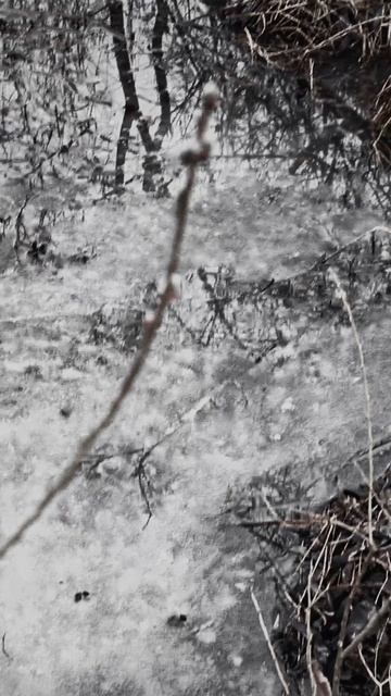 Киржач. Скоро