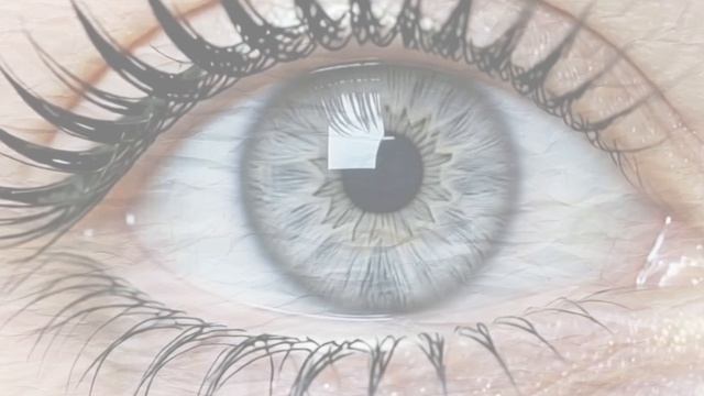 copy_05C7EA9D-14D0-4EA1-81B2-F4FC40E8D38F