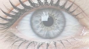 copy_05C7EA9D-14D0-4EA1-81B2-F4FC40E8D38F