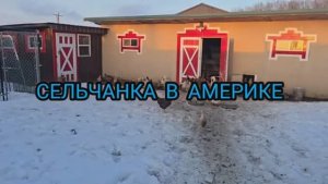 Сельчанка в Америке / СЕГОДНЯ НЕСТАЛО НАШЕГО ТАМИ ОН ПРОЖИЛ С НАМИ ПОЧТИ ПЯТЬ ЛЕТ