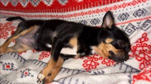 Всем самого доброго вечери и спокойной ночи.