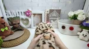 Снегарктида ☺ Приключения кузнечика Кузи 
(ВЭС - 2 Кругосветка)