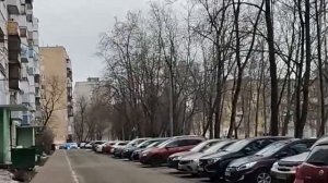 БУКАШКИ И ЖУЧКИ НАШЕЙ ЖИЗНИ