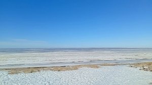 На побережье моря