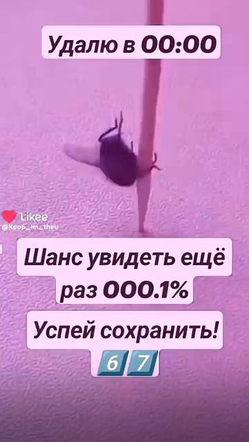 муха танцует