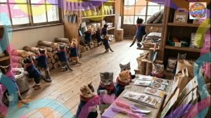 Никому не нужная кошечка получила невероятный подарок на день рождения... Дальше — чудо ❄️😿