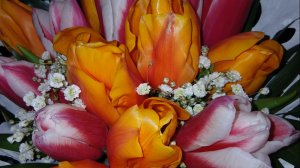 file_20260322_222821