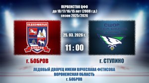 25.03.2026_11.00_2008 г.р._ХК "ДЕКО МИНЕРАЛС" (г. Бобров) - ХК "СШОР им. В.М. БОБРОВА" (г. Ступино)