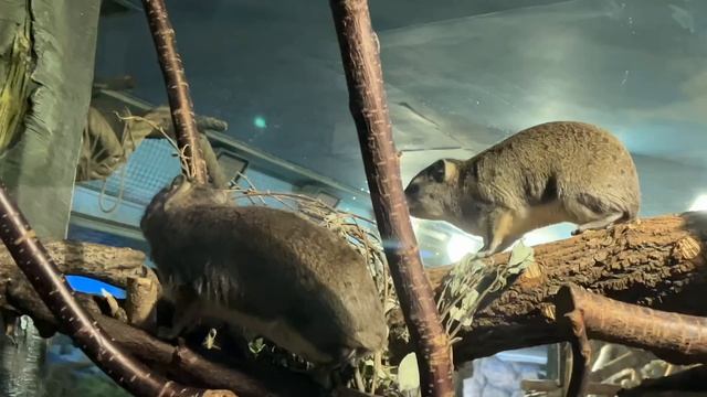 Московский океанариум