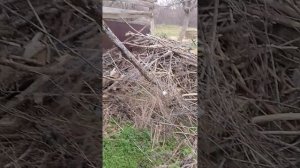 ,,Хороша житуха соседу Джамалу(вору+убийце КРСпод крышей МВД СК+крутого,,дяди Тома "-Узгенова Али М"