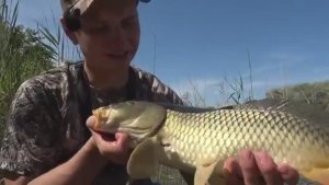 СДЕЛАЛ ПОМОСТ И ТАСКАЮ С НЕГО САЗАНОВ В ДИКОМ ПРУДУ! Рыбалка на поплавок.