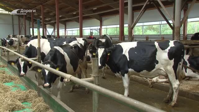 Дороги деревенские (276) 23.03.26