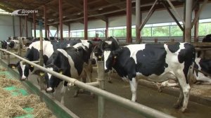 Дороги деревенские (276) 23.03.26