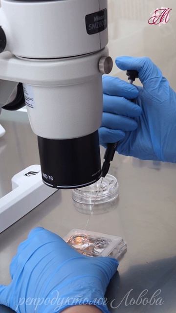 Клетки получены, а что дальше?