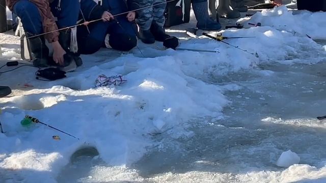23.03.26 г. РК Волна. смотреть онлайн