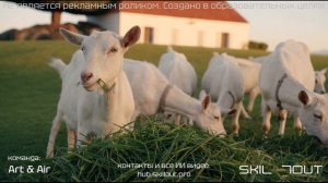 Проект команды Art&Air для бренда Kabrita. AI-хакатон SKILLOUT