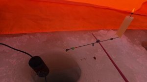 23 февраля в Зазерках , Вазузское водохранилище , зимняя рыбалка