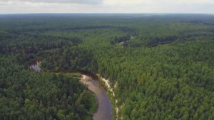 ЛОВЛЯ ХАРИУСА НА СЕВЕРЕ