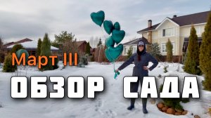 Обзор растений. Наблюдения за садом. Садовый дневник. Март’26