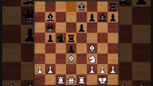 Лучшая партия матча за шахматную корону Ботвинник - Эйве, 1948 год