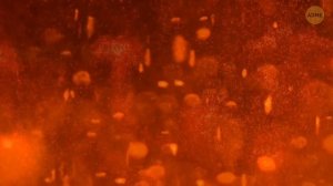 Не астероид убил динозавров: что произошло на самом деле