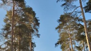 ЕЛЕНА ЗОЛОТО СОВЕРШЕННО ПРАВА