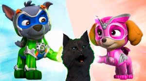 СУПЕР КОТ И СУПЕР СОБАКИ СОБИРАЕМ НЕ ДОСТАЮЩИЕ КОСТОЧКИ #13 🐱 Mighty Pups Save Adventure Bay #246