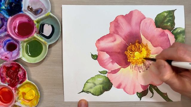 Как я использую три основных техники акварели для прорисовки фона, листьев и деталей! ЧАСТЬ 2