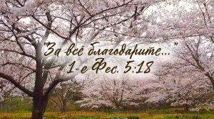 Мне есть, за что Тебя благодарить | стихи христианские