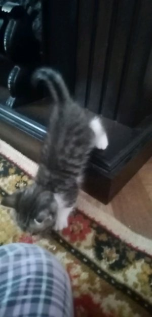 Песни который мне нравится