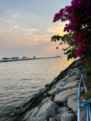 подарили кружку